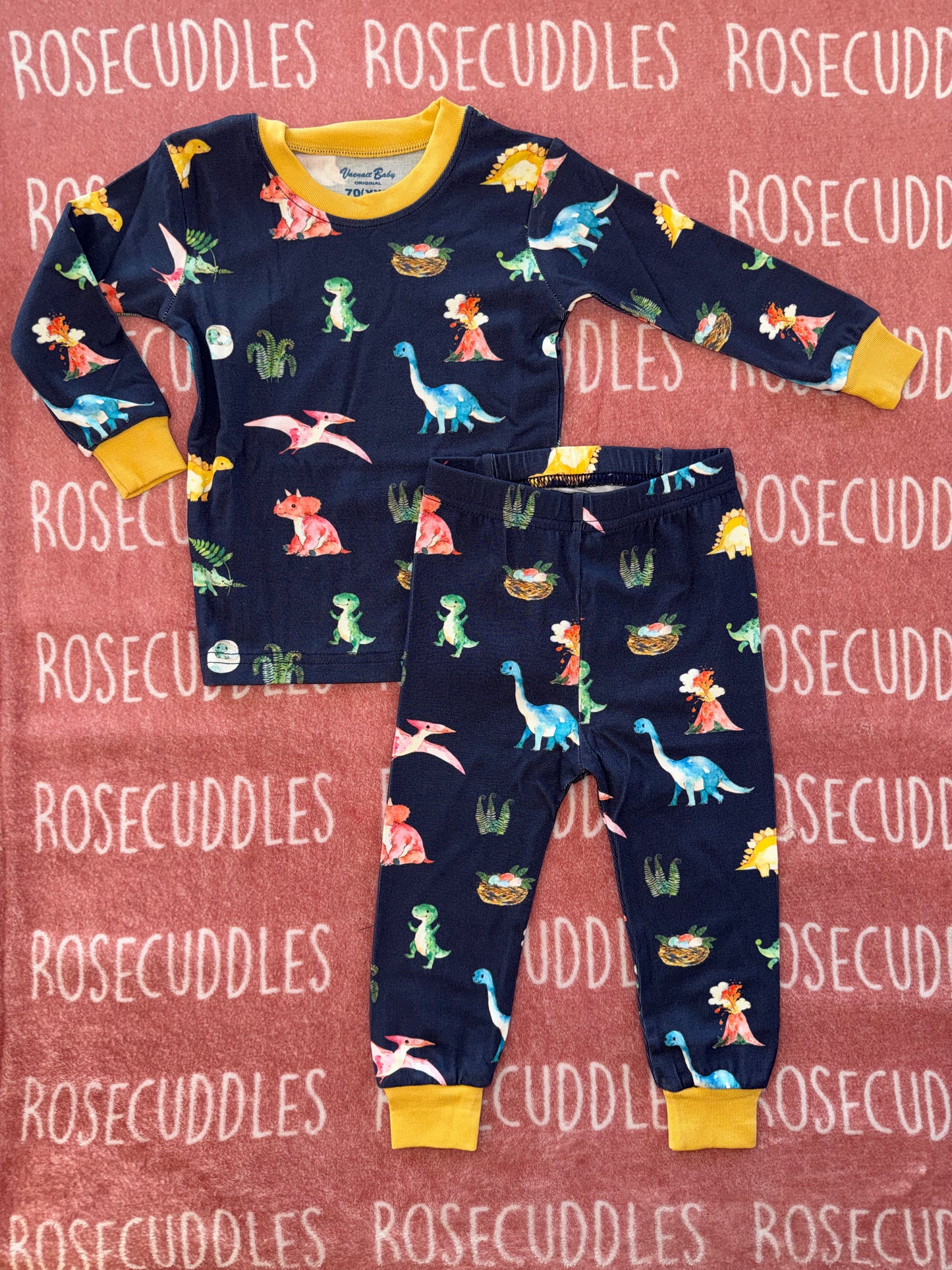 Dinosaur Bamboo Pajama Set